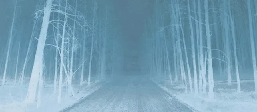 Droga, Cormac McCarthy