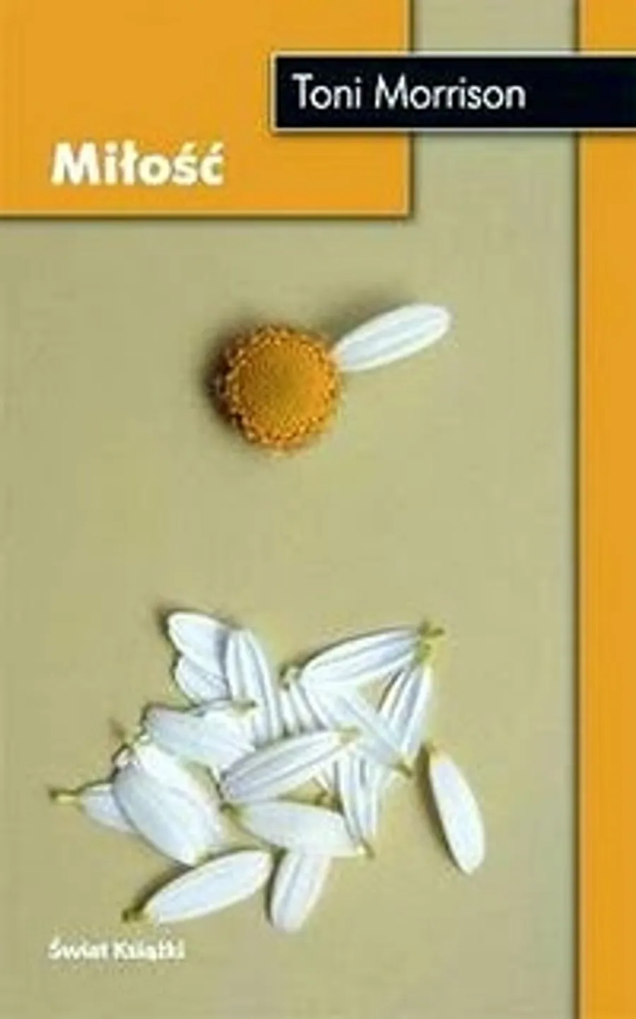 "Miłość" Toni Morrison