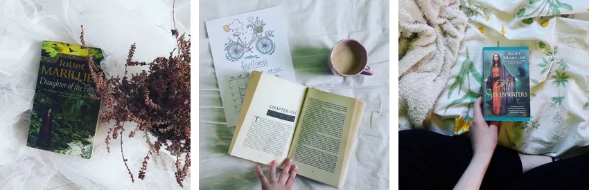 Zdjęcia książek z serii Sevenwaters z Instagrama