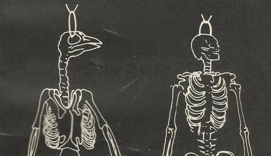 "Wizja lokalna" Stanisław Lem